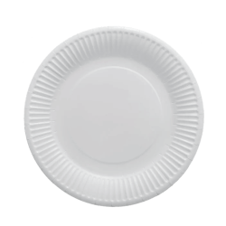 Talerz tekturowy jednorazowy Ø24 cm
