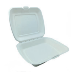 Ekologiczny menu box niedzielony 230x205 mm /A50