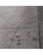 Środki specjalnego zastosowania